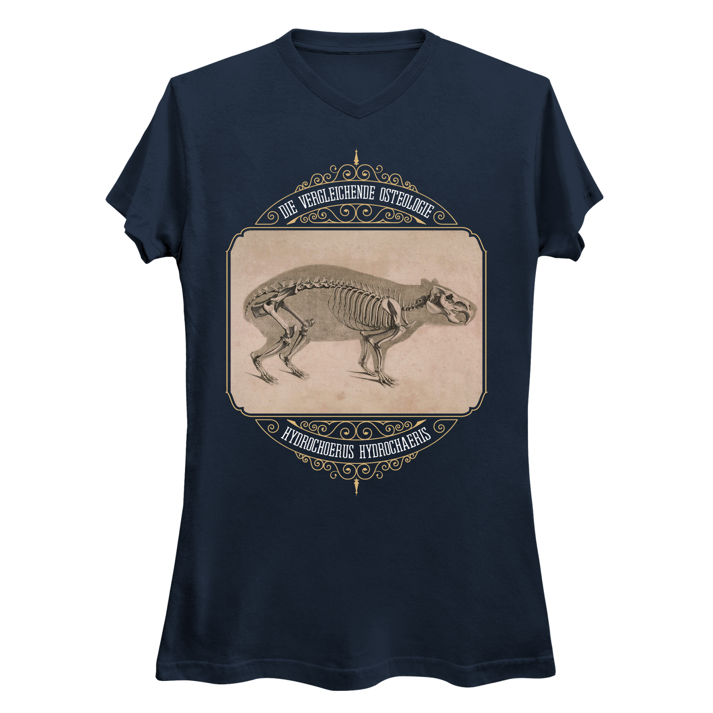 Capybara Anatomy Osteology Vintage Illustration Women's V-Neck