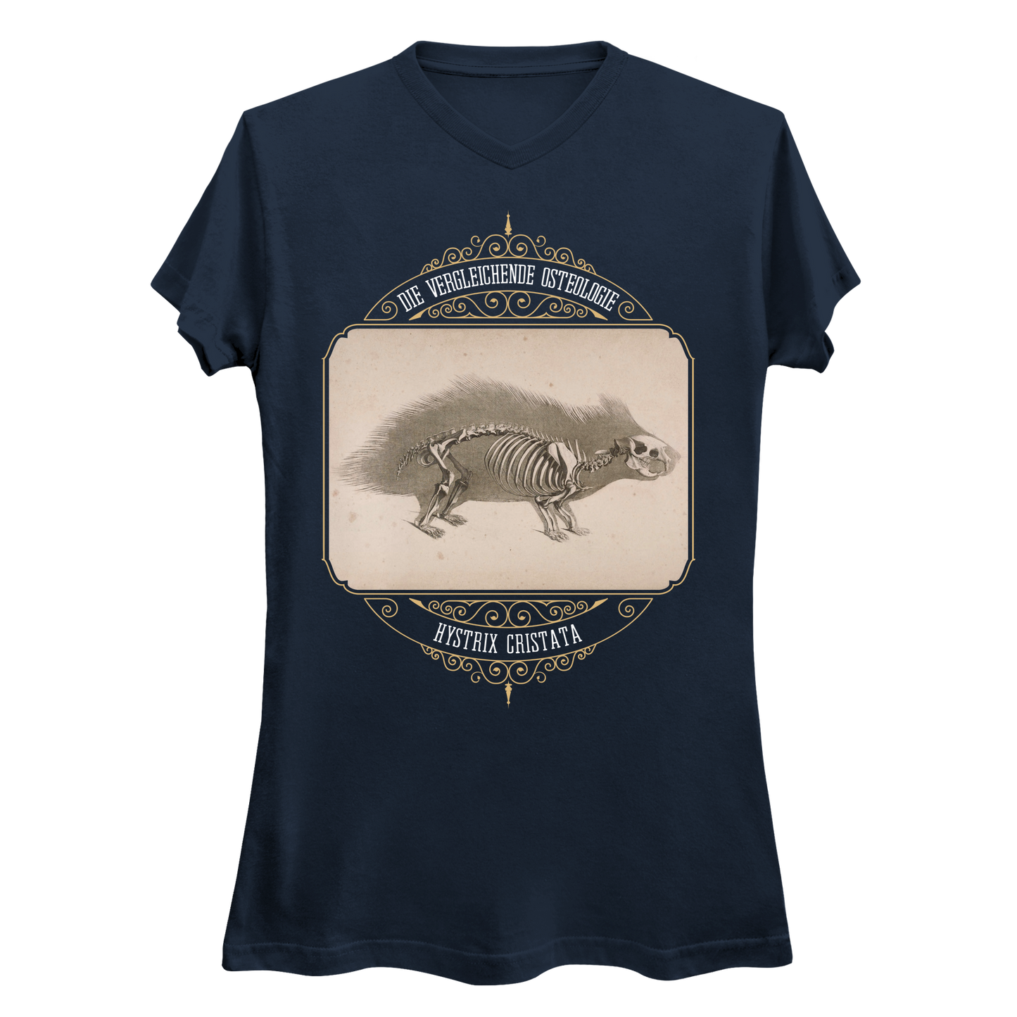 Crested Porcupine Skeletal Anatomy Women's V-Neck