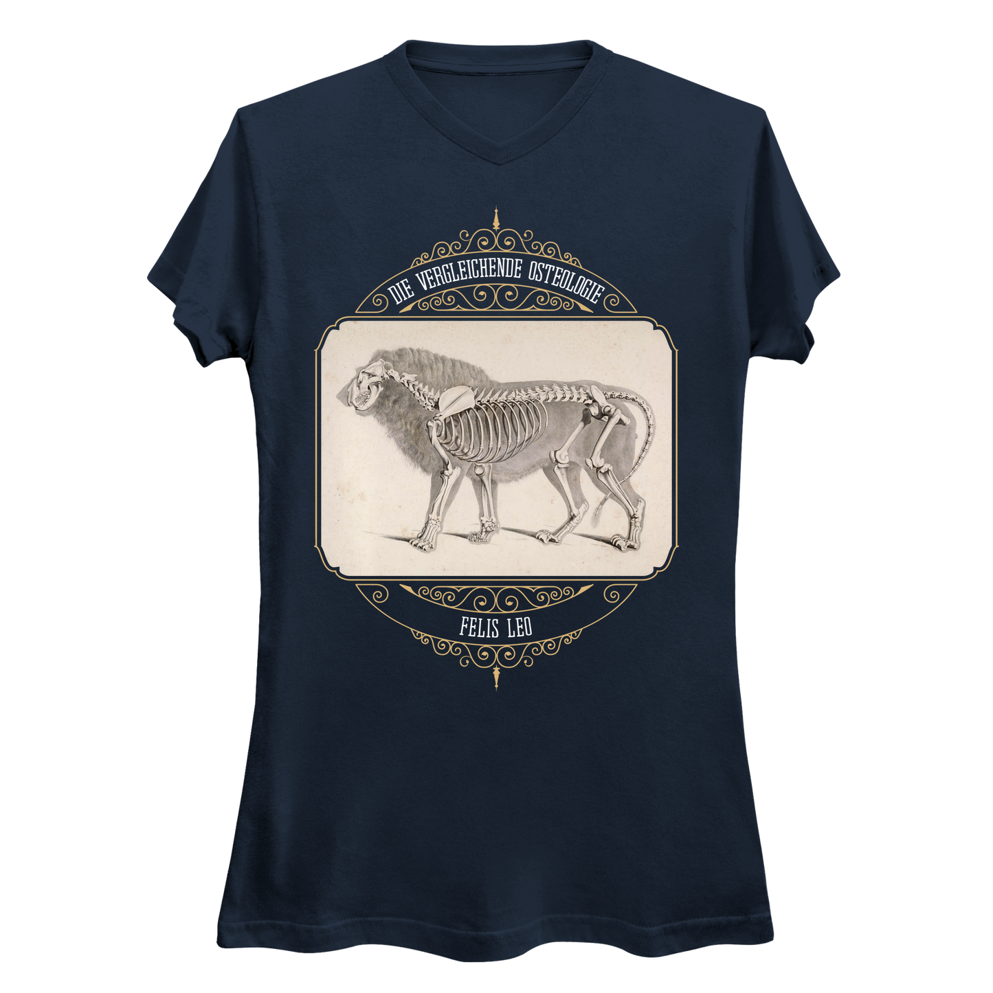 African Lion Animal Anatomy Women's V-Neck