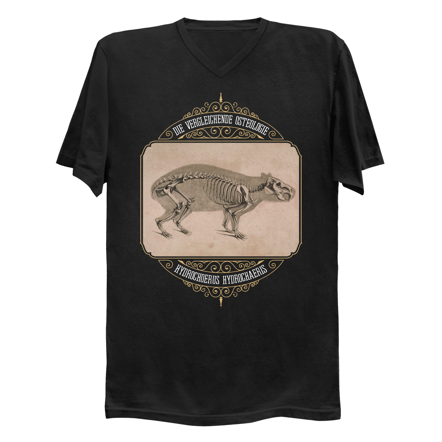 Capybara Anatomy Osteology Vintage Illustration Men's V-Neck