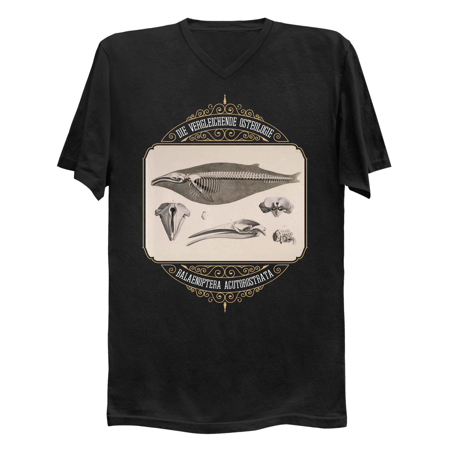 Common Minke Whale Osteology Men's V-Neck