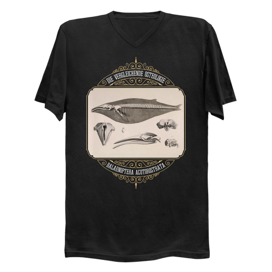 Common Minke Whale Osteology Men's V-Neck