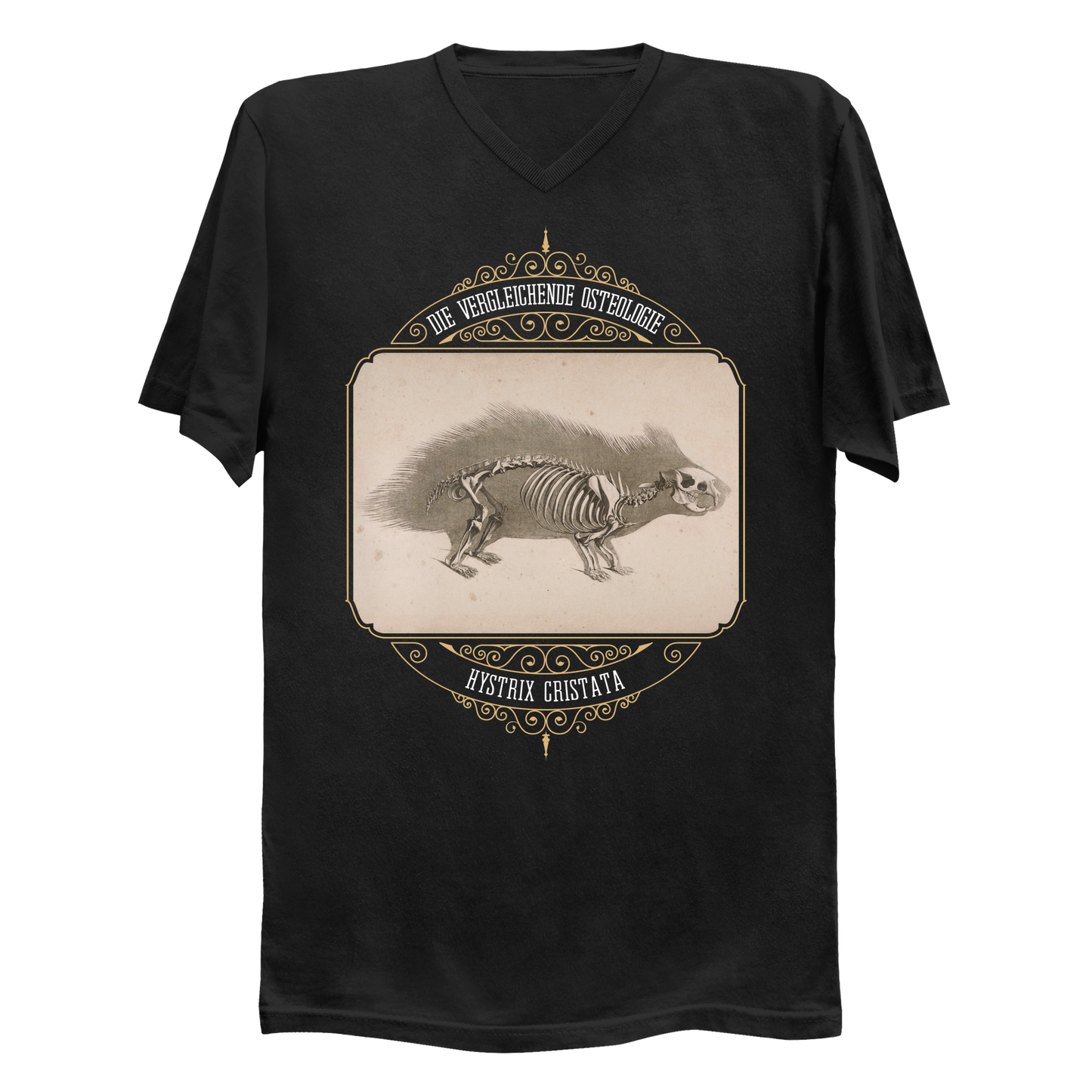 Crested Porcupine Skeletal Anatomy Men's V-Neck