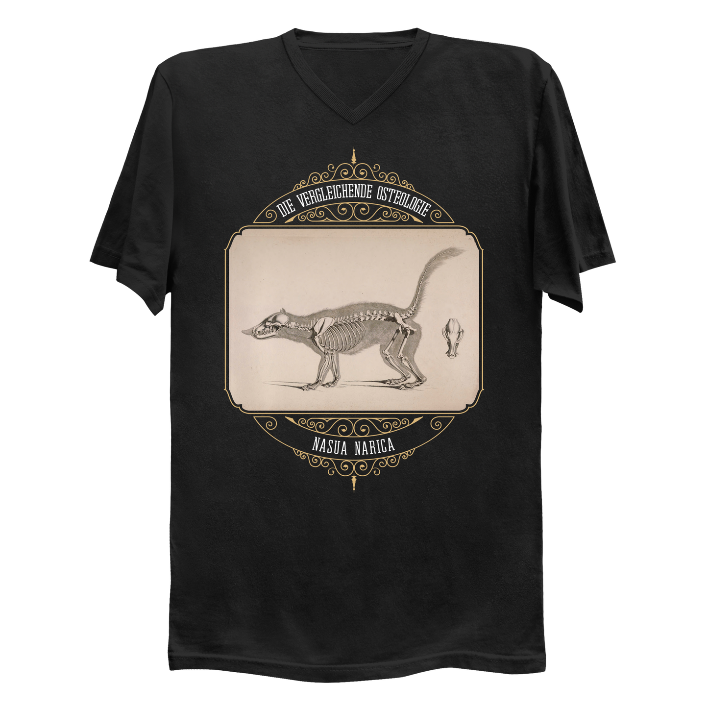 White Nosed Coati Anatomical Illustration Men's V-Neck