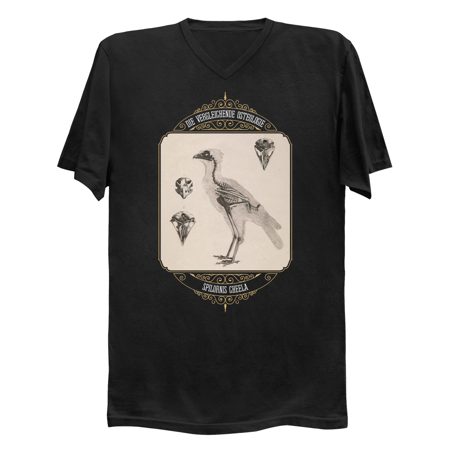 Crested Serpent Eagle Osteology Vintage Illustration Men's V-Neck