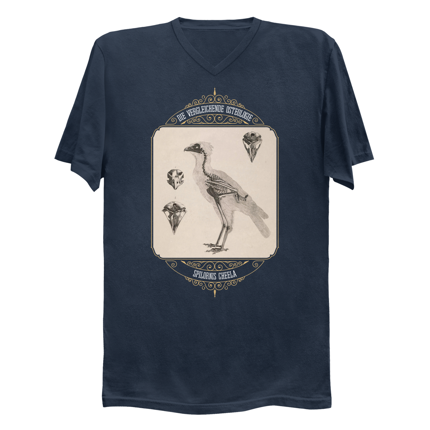 Crested Serpent Eagle Osteology Vintage Illustration Men's V-Neck