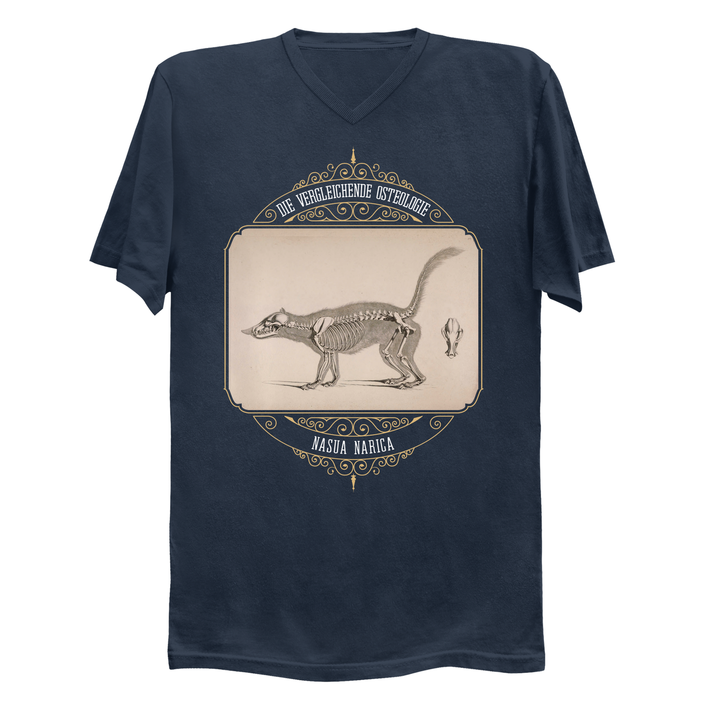 White Nosed Coati Anatomical Illustration Men's V-Neck