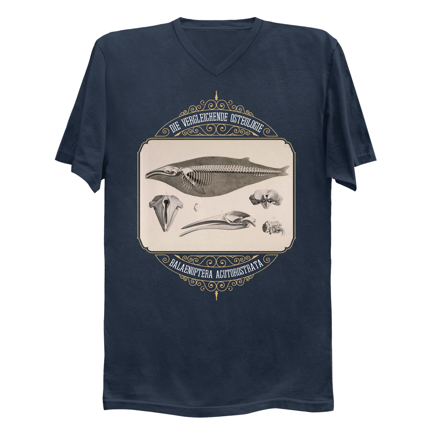 Common Minke Whale Osteology Men's V-Neck