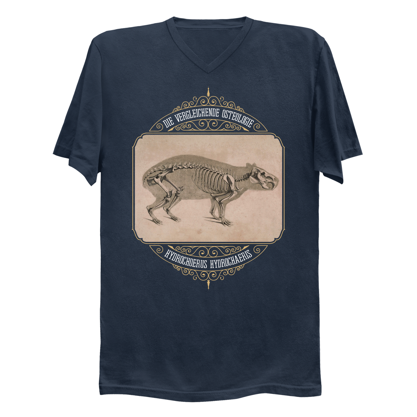 Capybara Anatomy Osteology Vintage Illustration Men's V-Neck