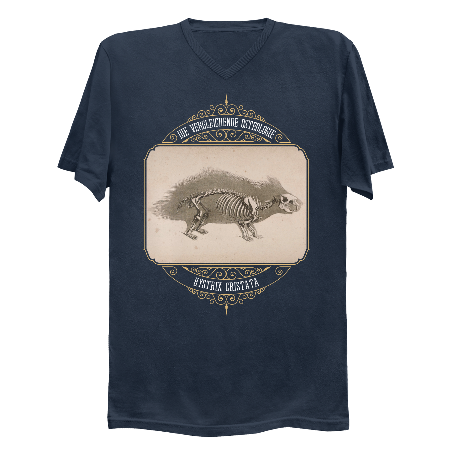 Crested Porcupine Skeletal Anatomy Men's V-Neck