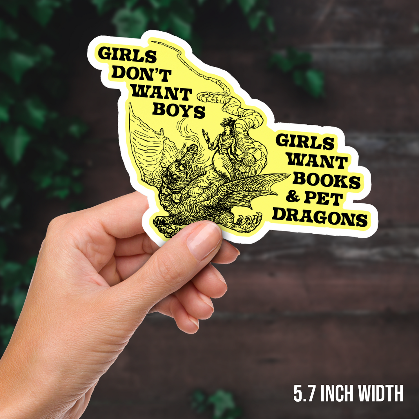 Girls Don't Want Boys Girls Want Books & Pet Dragons Vinyl Sticker