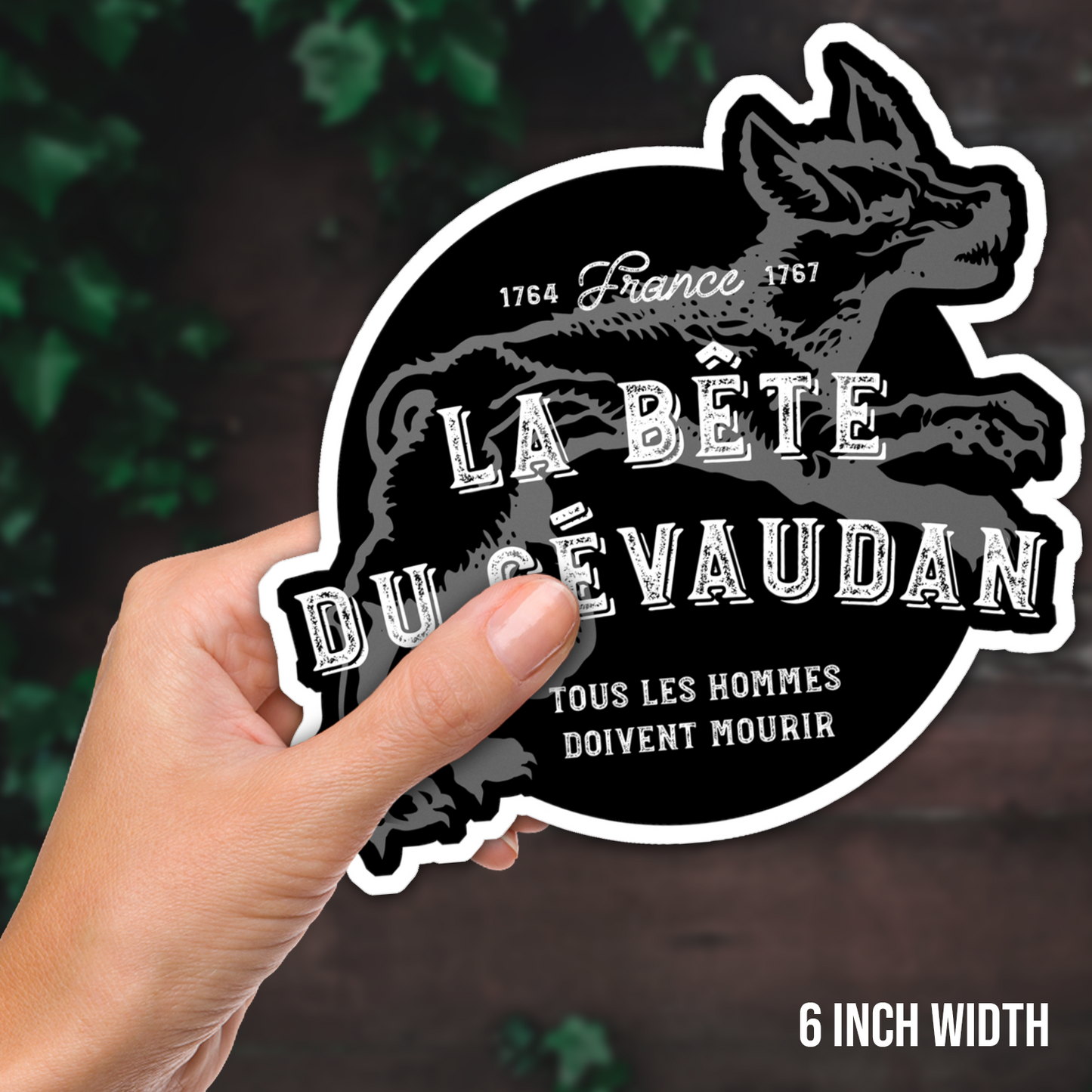 The Beast of Gevaudan Man-Eating Wolf Vinyl Sticker